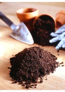 Vermicompost & Manure - 1kg