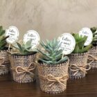 gift plants_page-0005