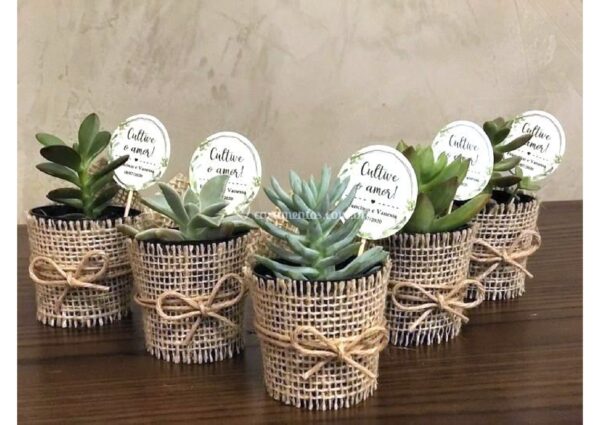gift plants_page-0005