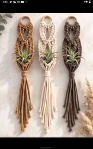 Macrame Wall Plant Hangers (combo pack)