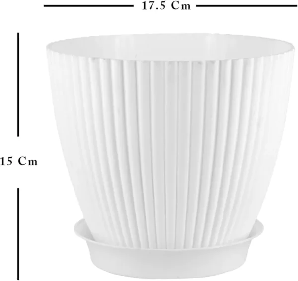 51COPa+jFjL._AC_UF894,1000_QL80_FMwebp_