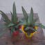 IMG-20260518-WA0003